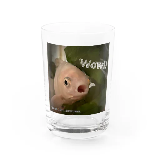 うちの金魚 さつまさん Water Glass