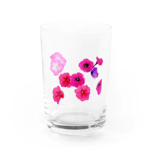 彩り Water Glass