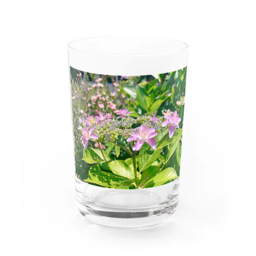 紫陽花 Water Glass