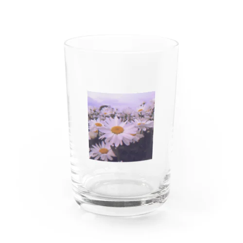 White flowers 白いお花 Water Glass