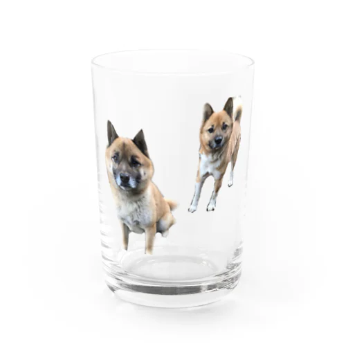 タロジログッズ Water Glass