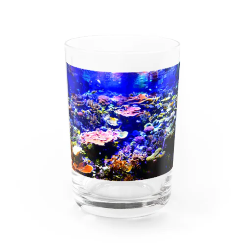 珊瑚の極彩色 Water Glass