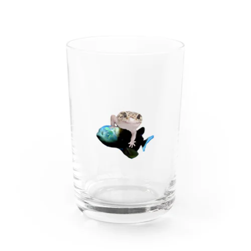 デメニギスとナンシー Water Glass