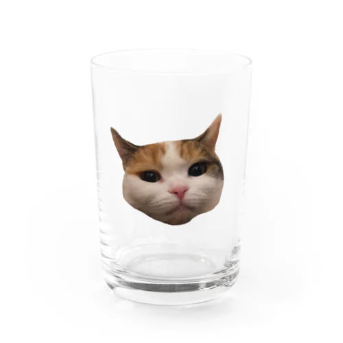 びすこ Water Glass