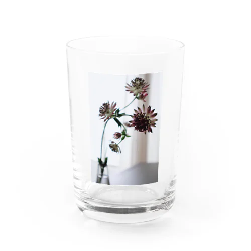 食卓の花 Water Glass