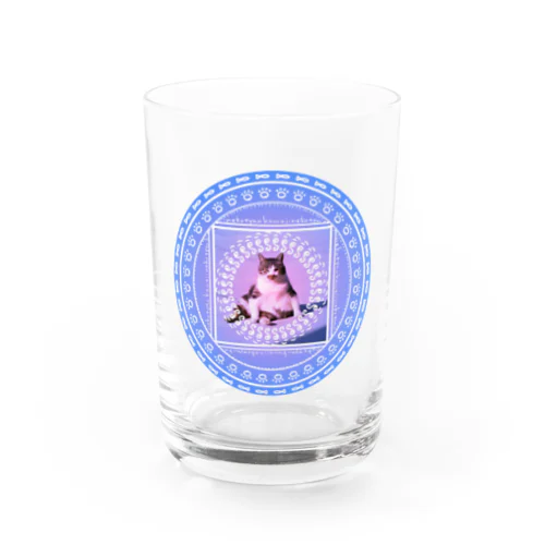 どっしりと構えたネコちゃん Water Glass