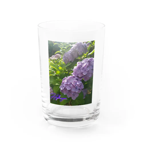 第二弾!Hydrangeaグッズ Water Glass