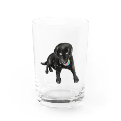 ルディ Water Glass