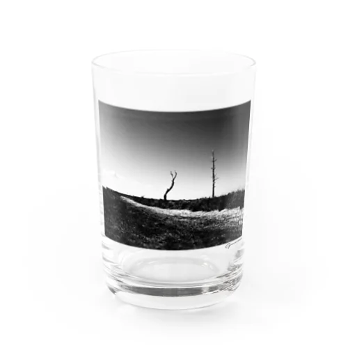 TODOWARA Water Glass