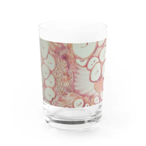 Hot Octopus  Water Glass