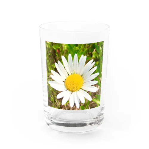  Flower of Faith Water Glass