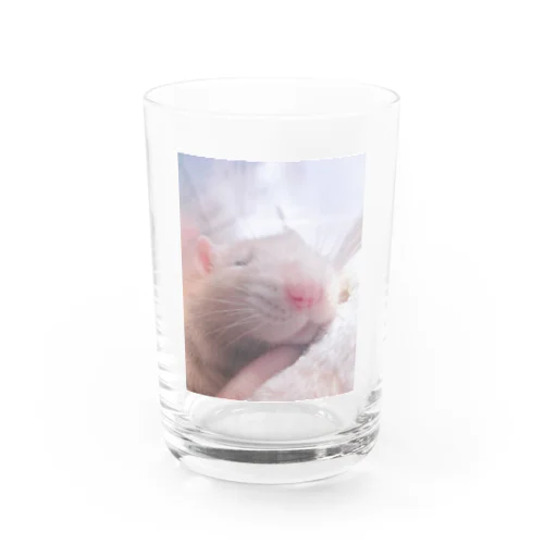 ファンシーラット(deep sleep) Water Glass