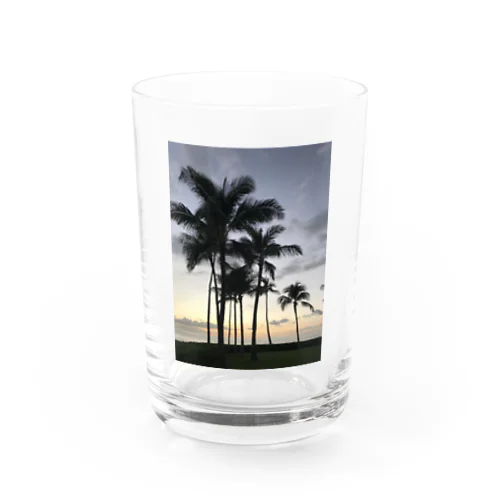 California ヤシの木🌴 Water Glass