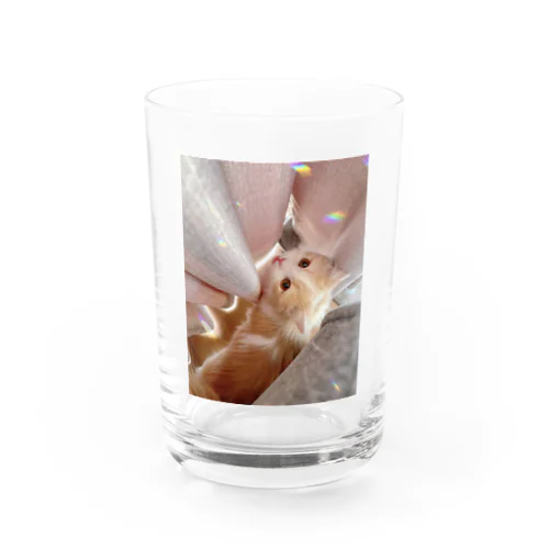 上目遣いきゅるるんもなちゃん Water Glass