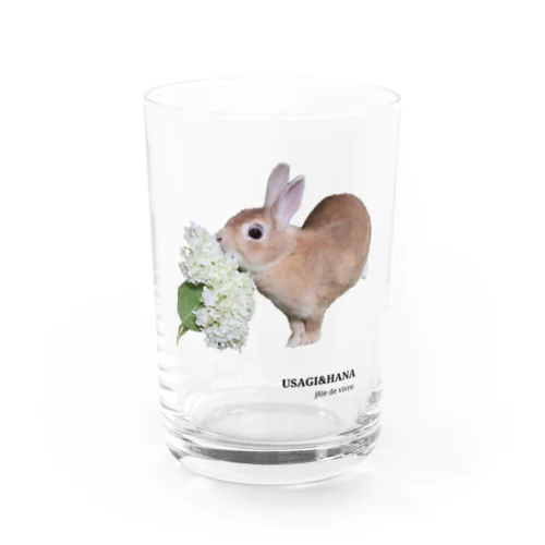 うさぎと花　初めてアナベルと出会ったうさぎ　6月 Water Glass