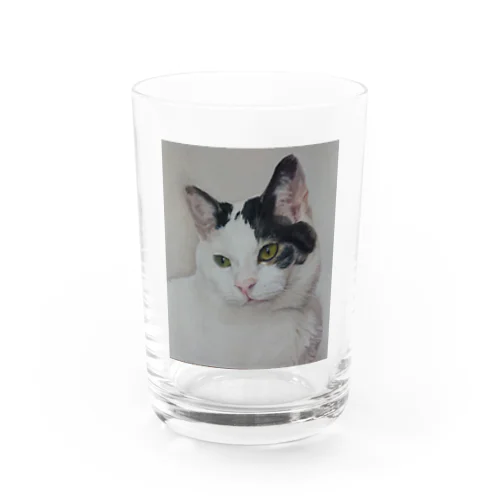 猫 Water Glass