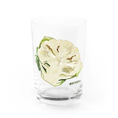 カリフラワー（断面） Water Glass