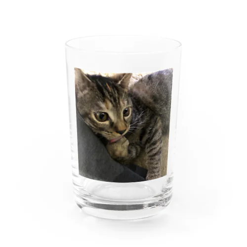 ぺろ Water Glass