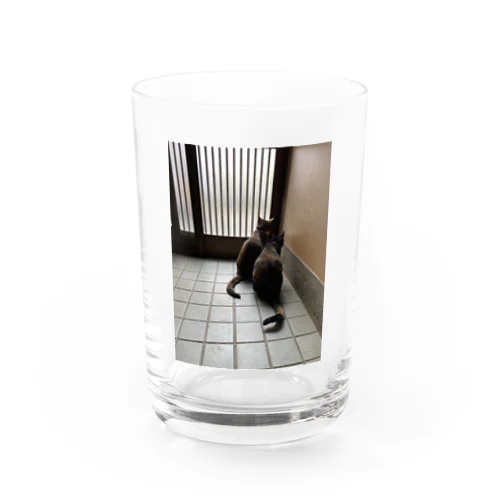 家から出たいねこ Water Glass