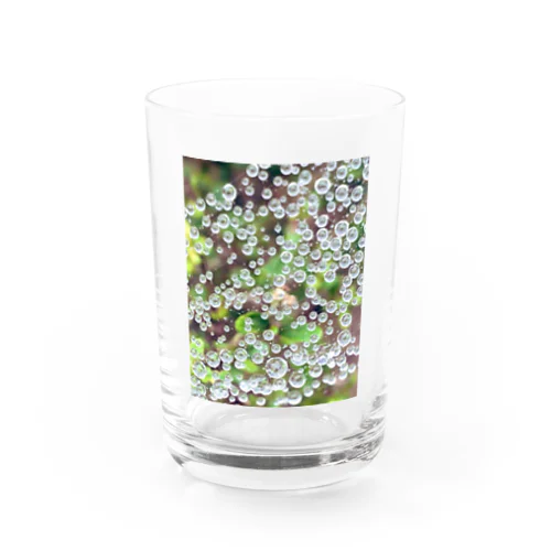 蜘蛛の巣についた水滴デザイン Water Glass