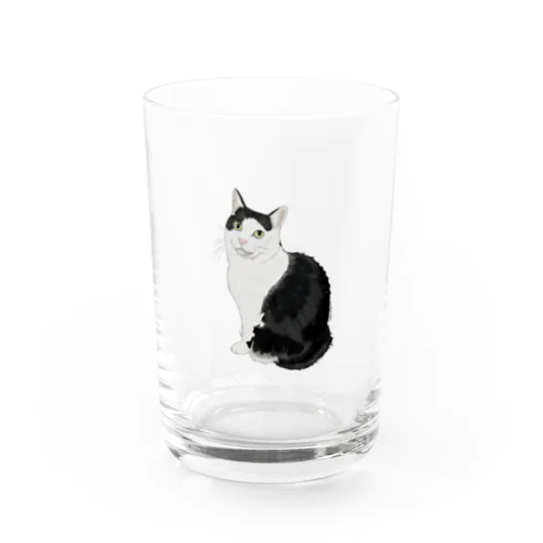ねこ猫ネコ Water Glass