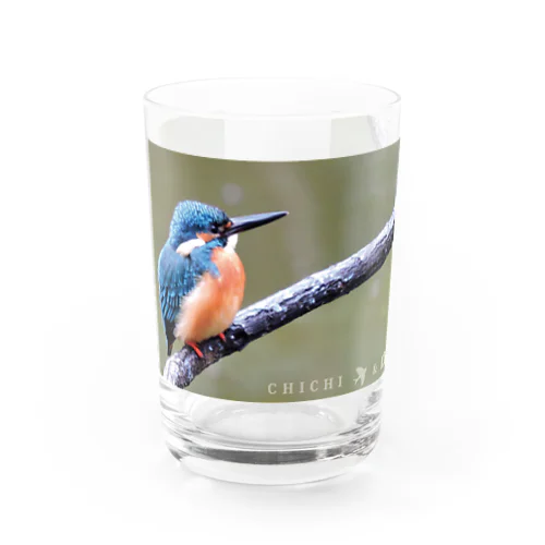 カワセミ（B） Water Glass