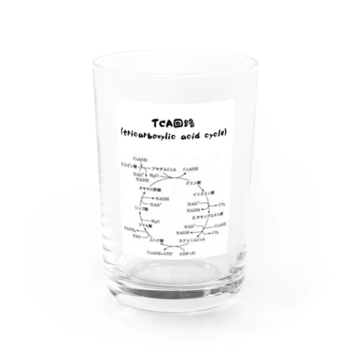 TCA回路 Water Glass