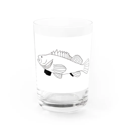 根魚 Water Glass