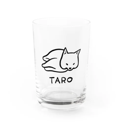 TARO Water Glass