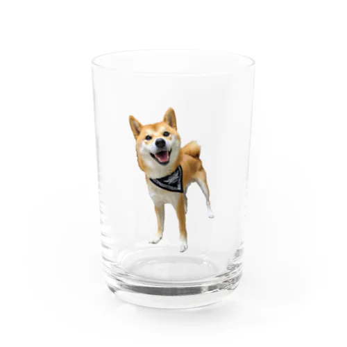 ニコニコ大ちゃん Water Glass