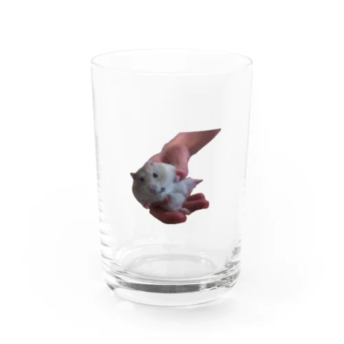 ハムスターのはむさん Water Glass