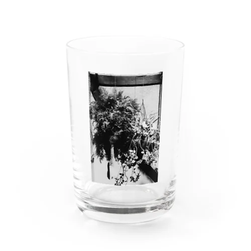 RAF Water Glass