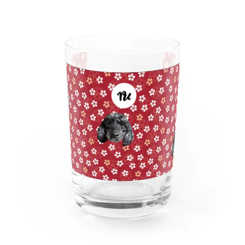 kurumi Water Glass