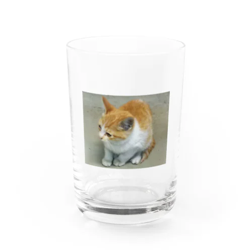 チビネコ Water Glass