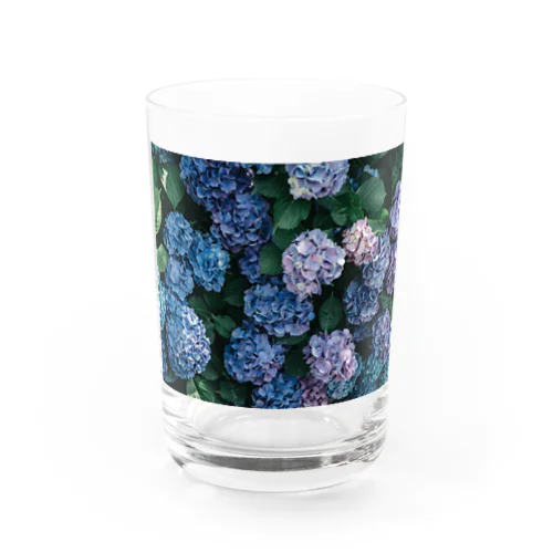 紫陽花 Water Glass