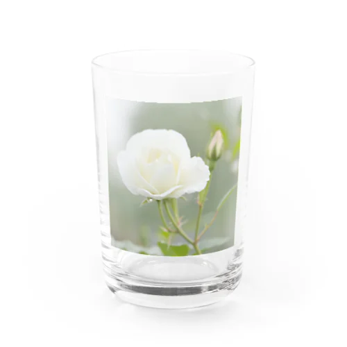 白い薔薇 Water Glass