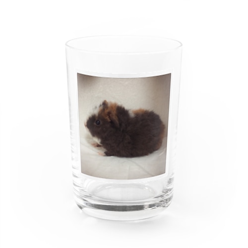イエティグッズ Water Glass