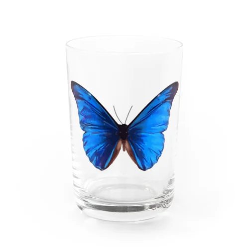Morpho Water Glass