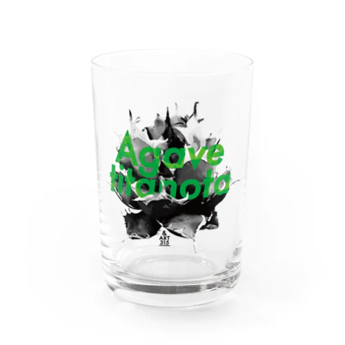 Agave titanita（アガベ・チタノタ） Water Glass