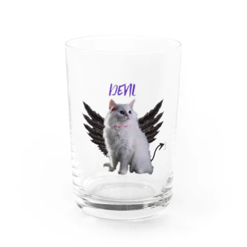 devil cat グラス