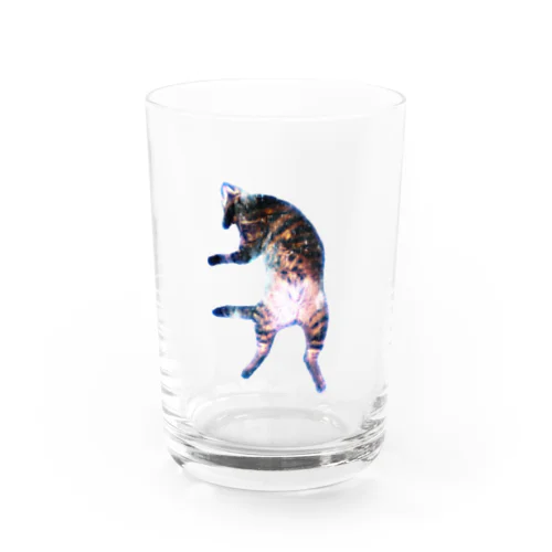 キジトラのヒラキ（宇宙） Water Glass