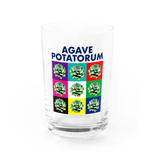 AGAVE_POTATORUM_MULTI_COLOR Water Glass