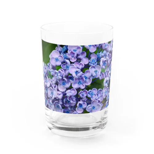 紫陽花 Water Glass