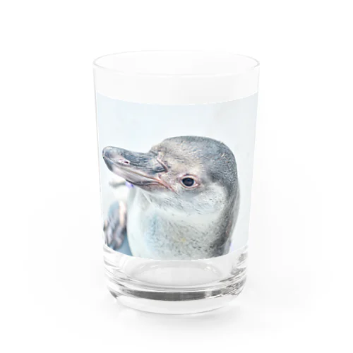 ペンギン グラス