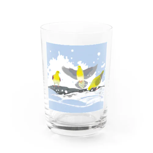 アオバト＠大磯 Water Glass