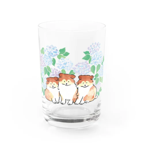 くっつきシェルティの子犬の兄弟（紫陽花） Water Glass