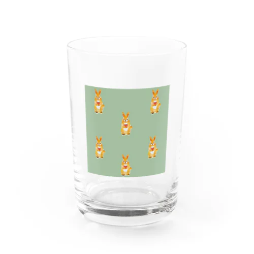 rabi.s Water Glass