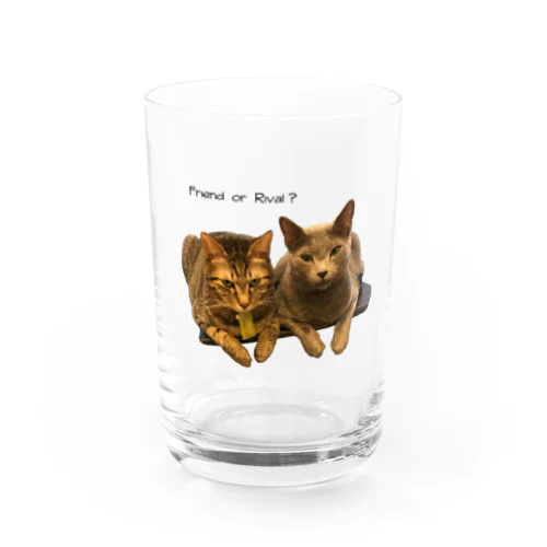 Friend or Rival Water Glass