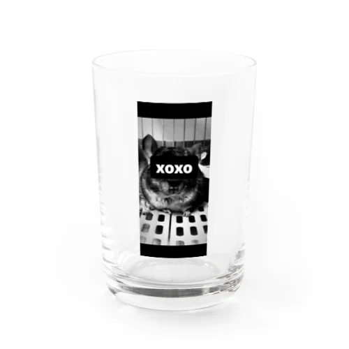 xoxo Water Glass