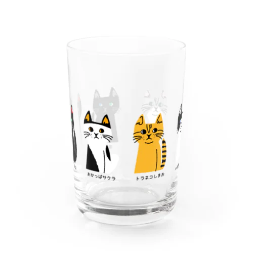 トラネコしまお、みんな仲間 Water Glass